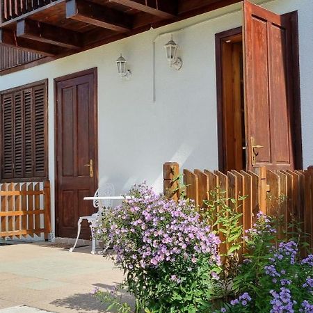 Vila Panselutelor 6 Sinaia Zewnętrze zdjęcie