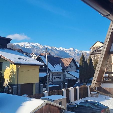 Vila Panselutelor 6 Sinaia Zewnętrze zdjęcie