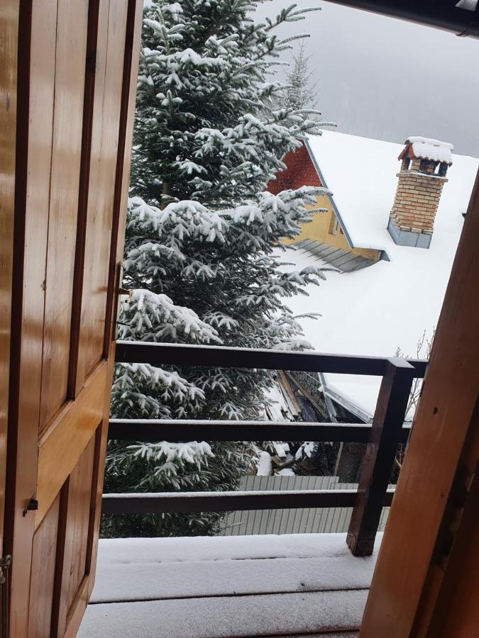 Vila Panselutelor 6 Sinaia Zewnętrze zdjęcie