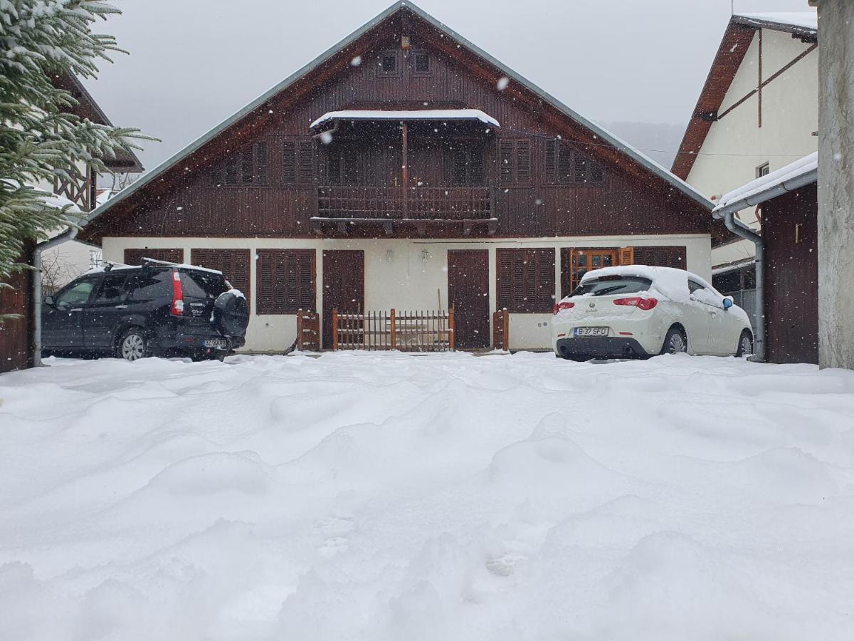 Vila Panselutelor 6 Sinaia Zewnętrze zdjęcie