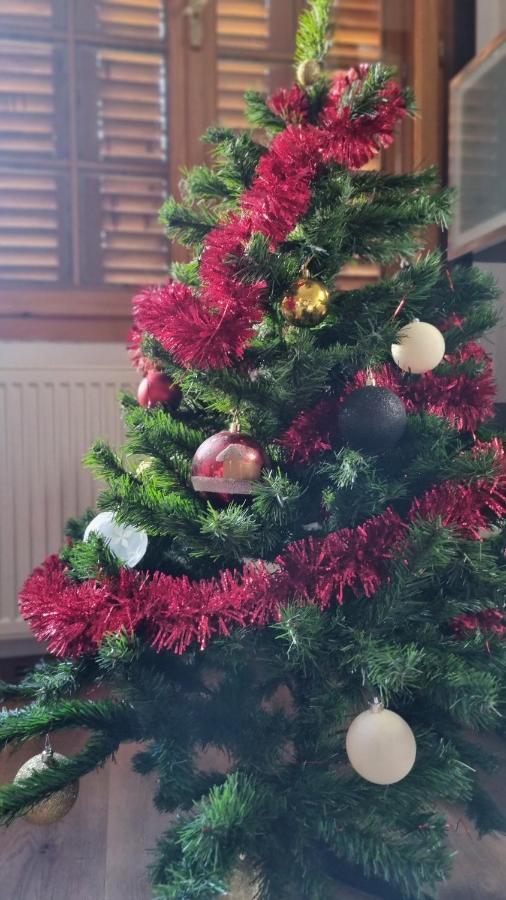 Vila Panselutelor 6 Sinaia Zewnętrze zdjęcie